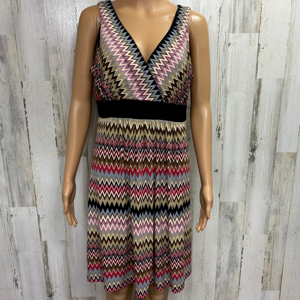 Sandra Darren Chevron Print Jersey Knit Dress
